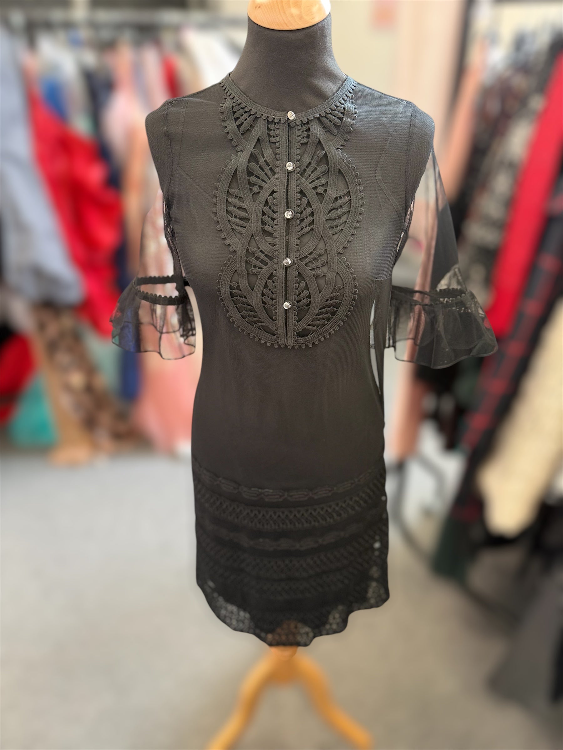 Coast sheer button occasion dress with under slip