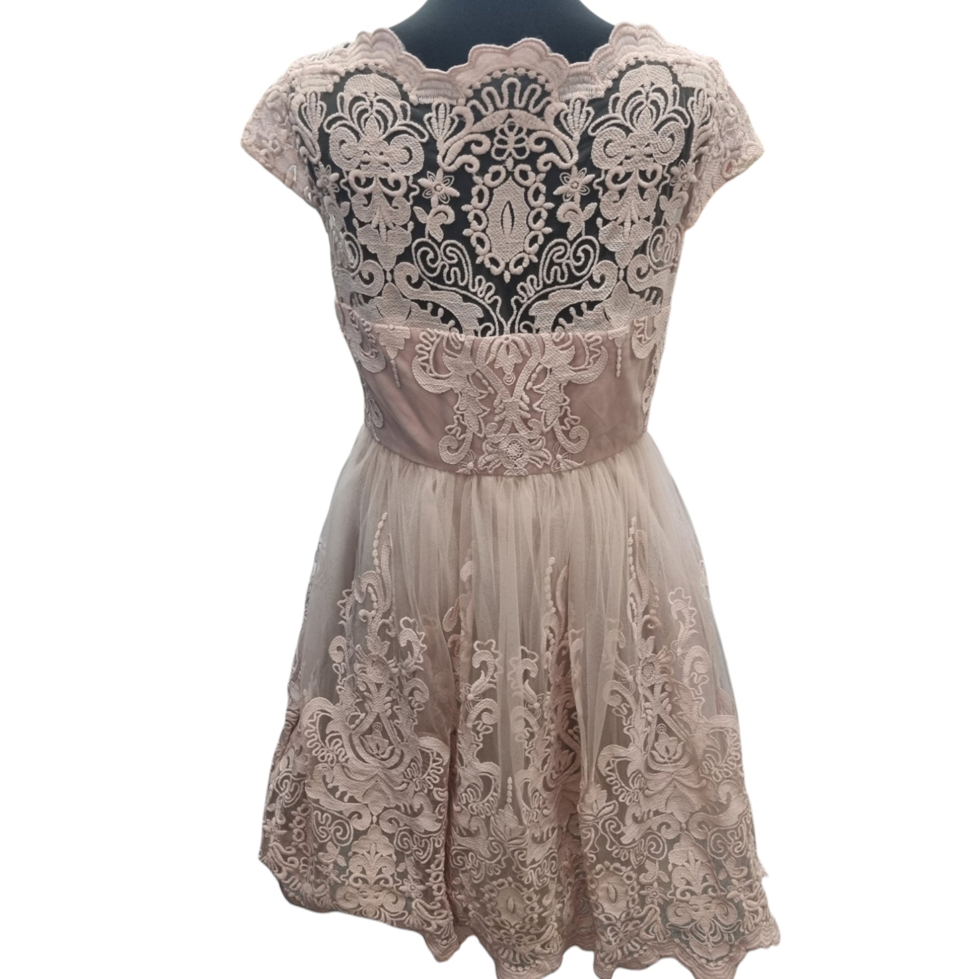 Chi Chi pink tulle pouffe midi dress (Brand new with tags)