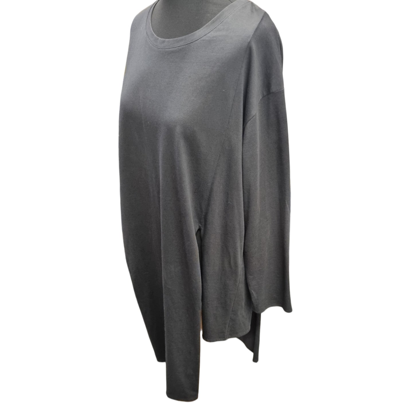 Zara long sleeved unusual long top